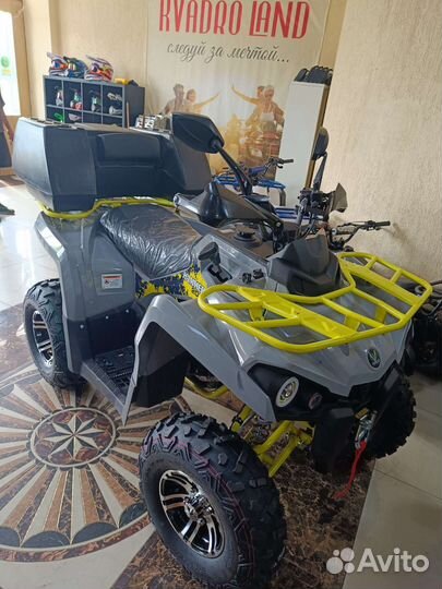 Hammer sharmax 300 LUX