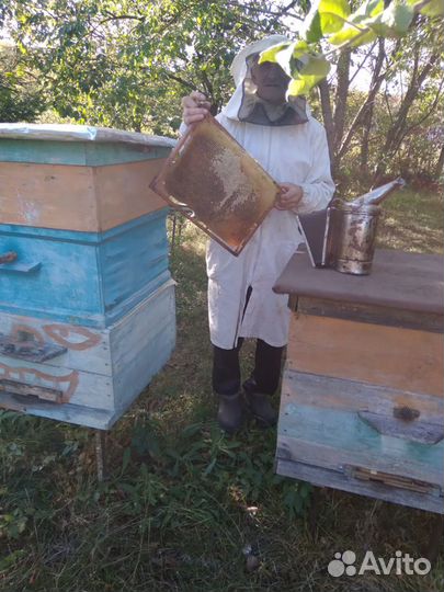 Мед цветочный, натуральный