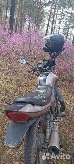 Racer tigr 150