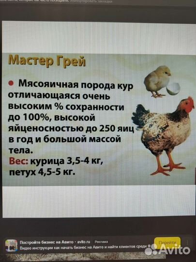 Цыплята, утята