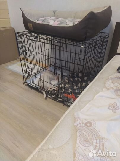 Клетка для собак, 2 двери, 77x59x62