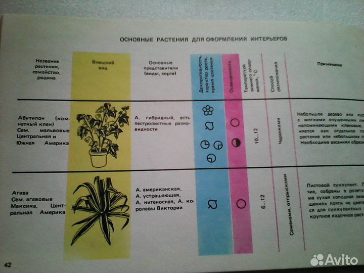 Цветоводство.Орхидеи. Букеты