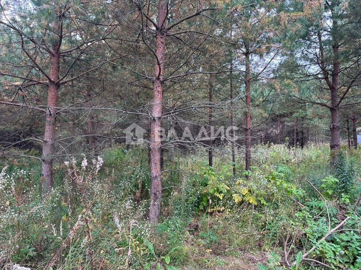 Участок 13 сот. (ИЖС)