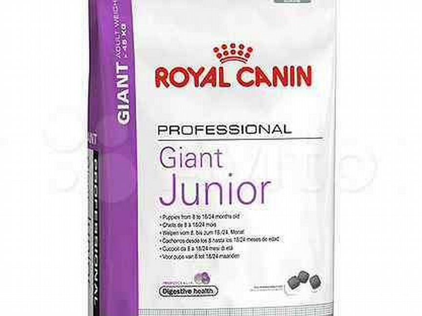 Royal canin в наличие