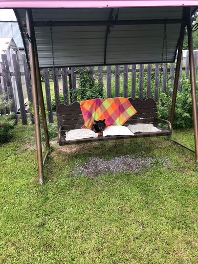 Дача 50 м² на участке 12 сот.