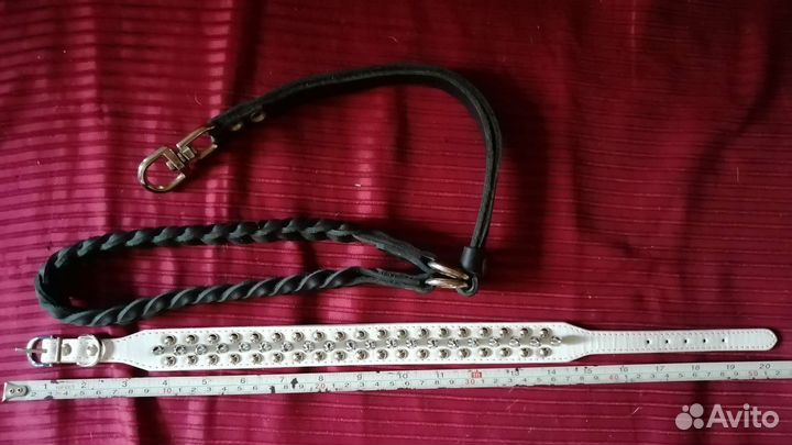 Ошейник для собаки