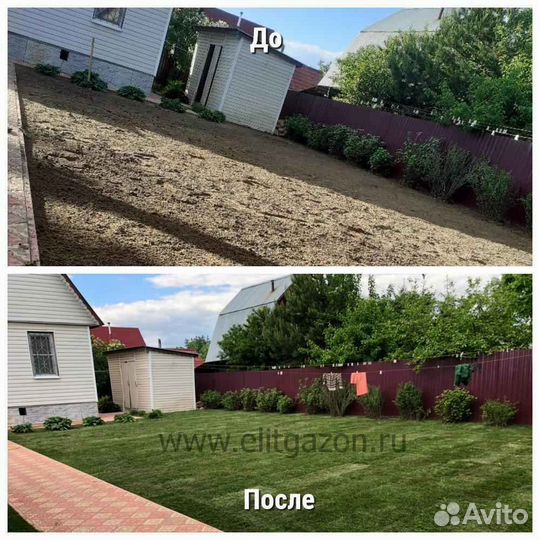 Укладка и продажа рулонного газона