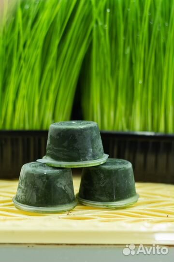 Витграсс (Сок из ростков пшеницы)