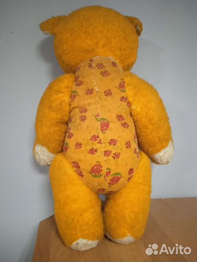 Медведь рыжий. СССР