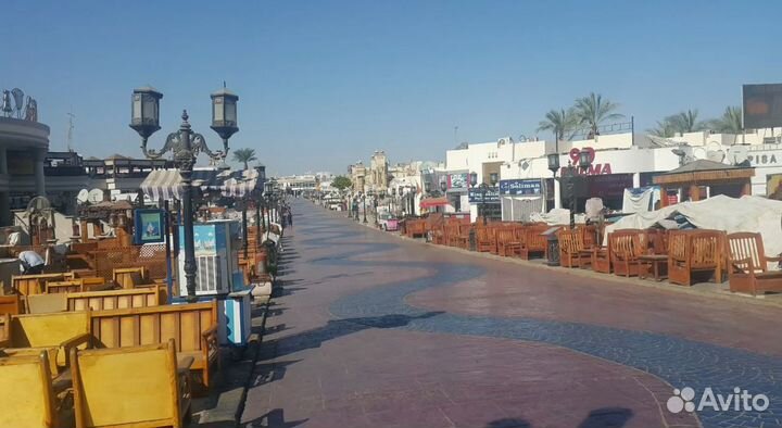 Турпоездка Египет, Наама Бей на 11 нч все вкл-но