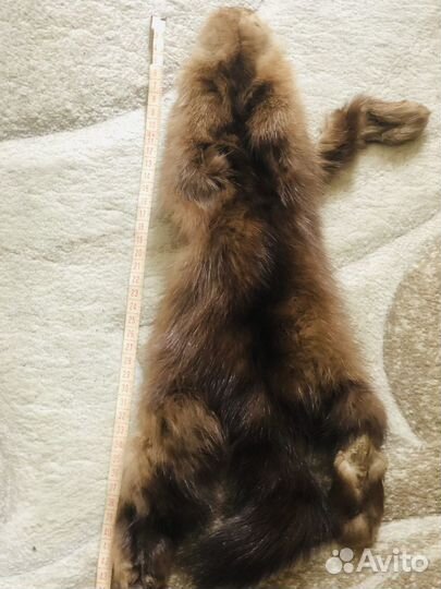Продам шкурки соболя