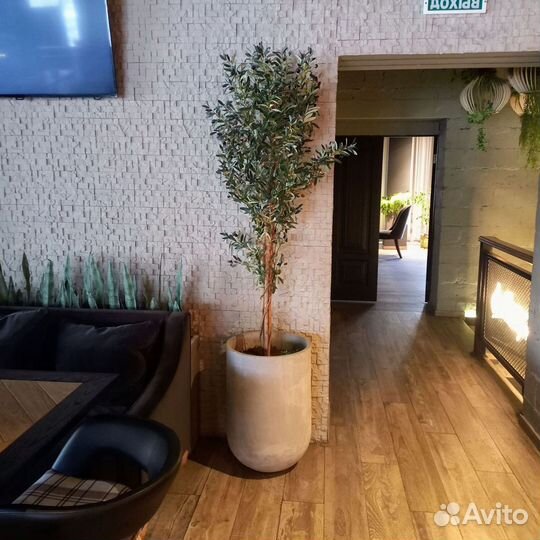 Горшки, Вазоны, Кашпо под заказ из бетона