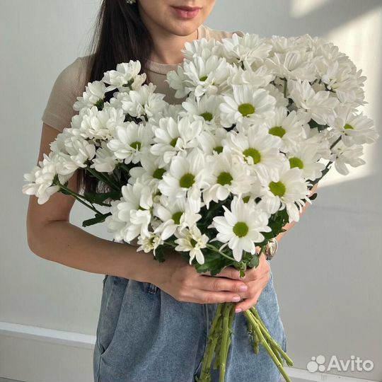 Куст. хризантема с беспл. доставкой