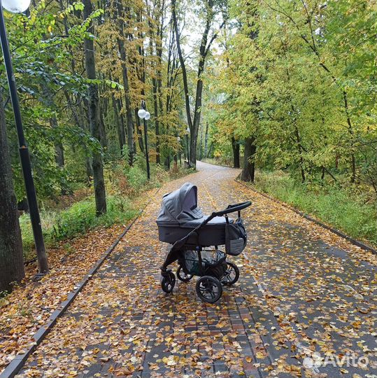 Коляска 3 в 1 Bello Babies IVO