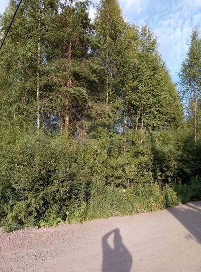 Участок 7,5 сот. (СНТ, ДНП)