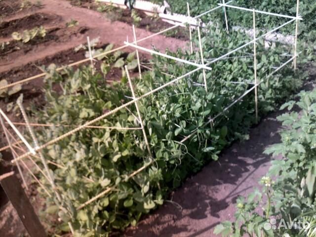 Опоры для растений стеклопластиковые