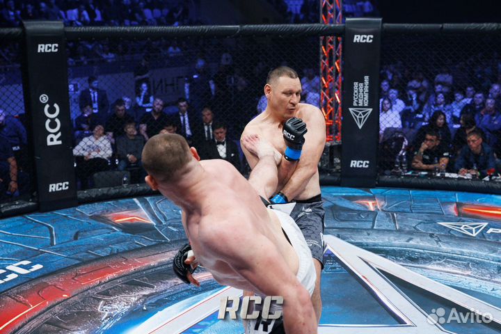 Тренировки по мма