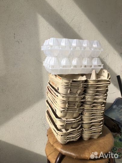 Контейнеры для яиц