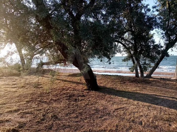 Комната 24 м² в 1-к., 1/1 эт.