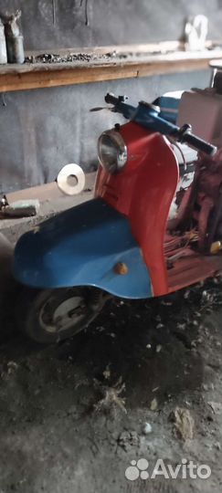 Муравей Моторолер