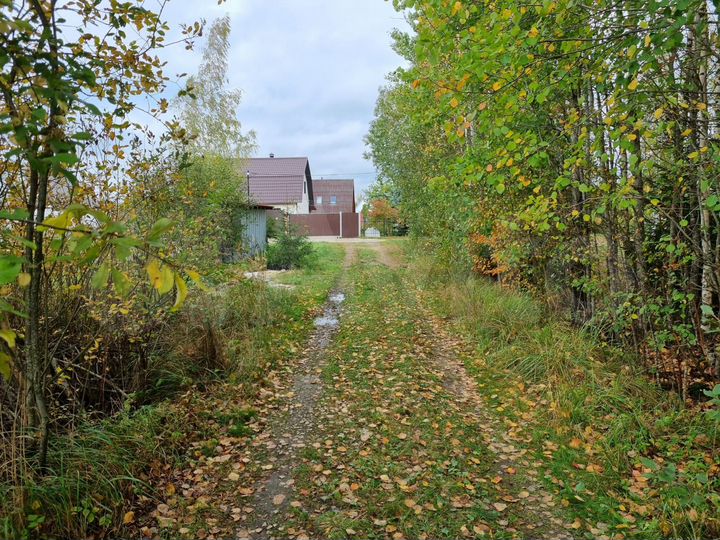 Участок 4 сот. (СНТ, ДНП)