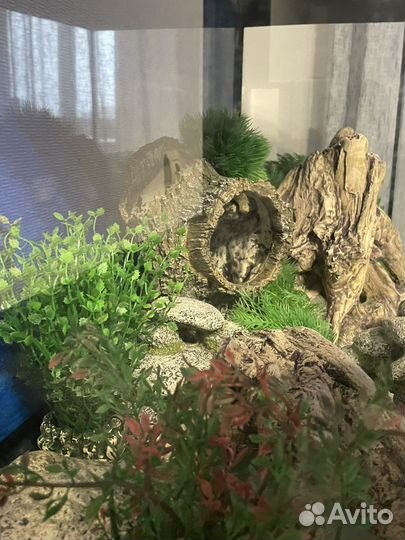 Аквариум с тумбой бу