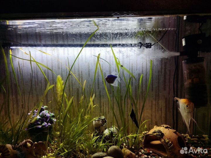 Аквариум