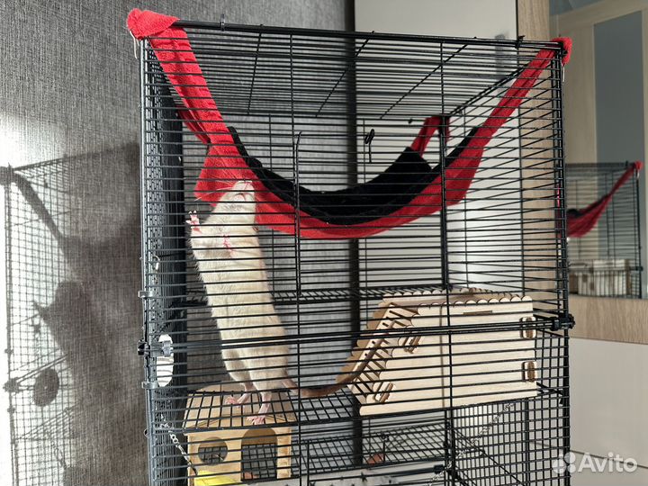 Клетка для грызунов большая