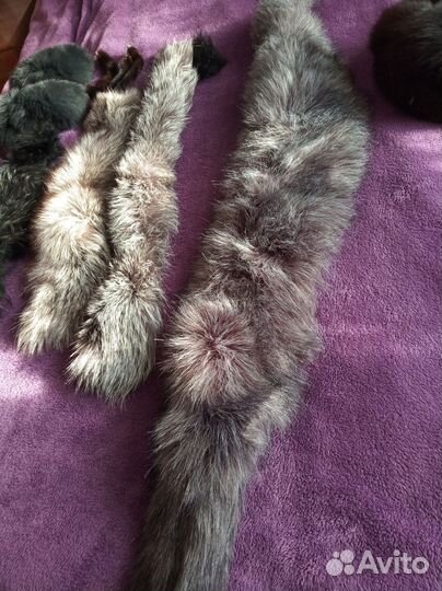 Шкурка животного