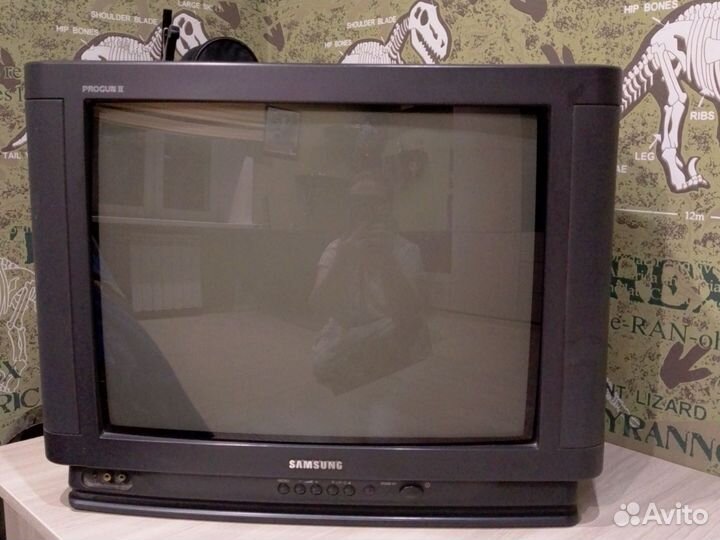 Телевизор samsung CS 2139