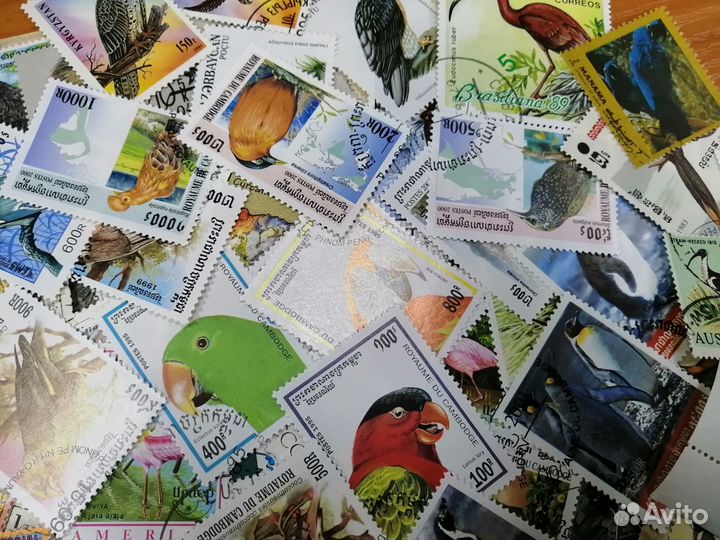 Набор 200 разных марок птицы