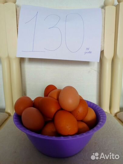 Домашние куриные яйца