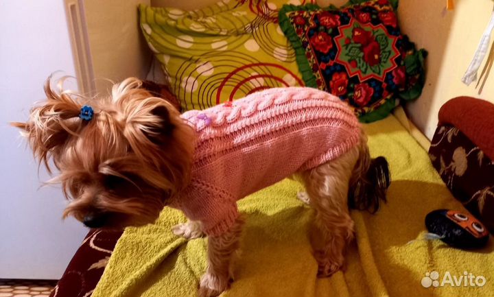 Одежда для собак, кофта, свитер/шапка/комбинезон