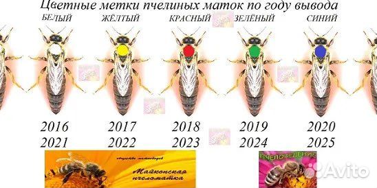 Пчеломатки на 2023