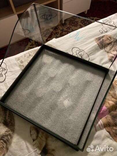 Аквариум черепашник