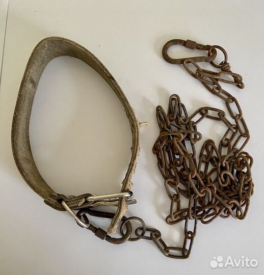 Ошейник для собак цепь