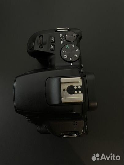 Canon 250D