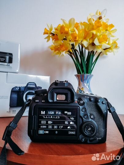 Canon 6d mark ii +объектив 50 мм 1.8 stm
