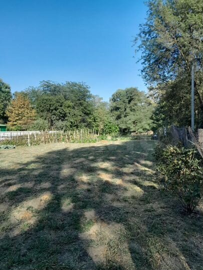 Участок 22 сот. (СНТ, ДНП)