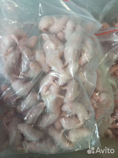 Кормовые мыши