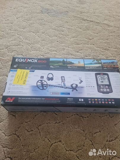 Minelab equinox 800