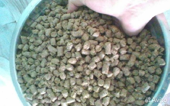 Дробина пивная