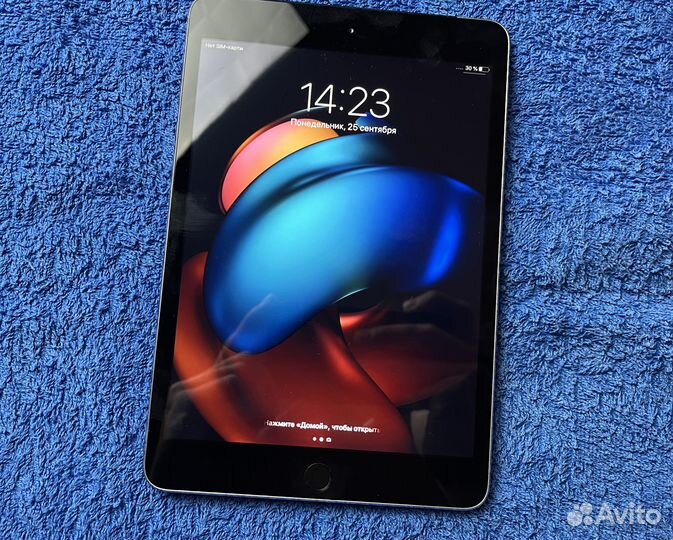 iPad mini с поддержкой LTE - экран Rerina