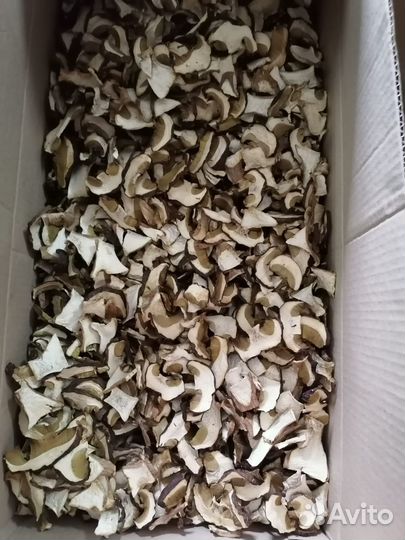 Сухой гриб (белый гриб)