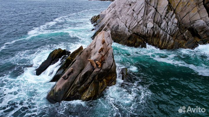 Аэросъемка Квадрокоптер FPV