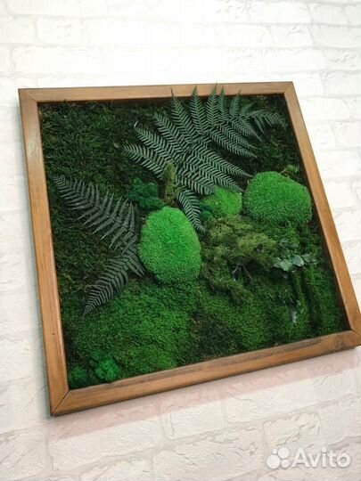 Мох стабилизированный оптом и в розницу