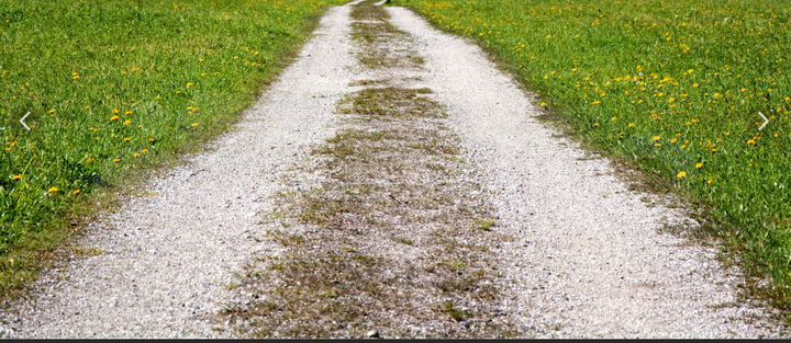 Участок 9,7 сот. (СНТ, ДНП)