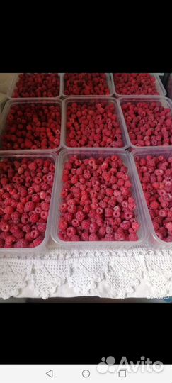 Лесная малина замороженая