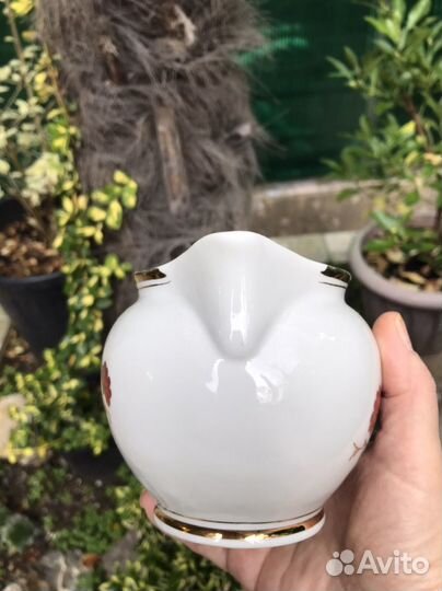 Молочник Сливочник Редкий