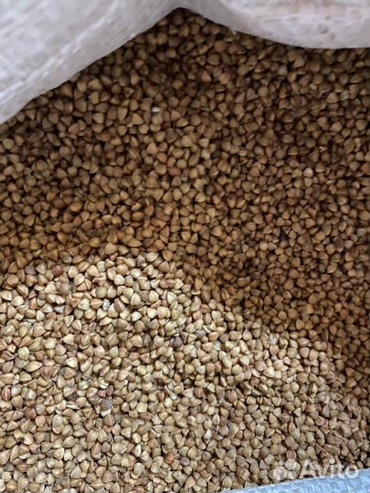 Гречневая крупа пищевая